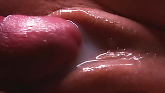 Cumshot And Creampie: The Ultimate Fetish Experience