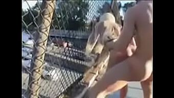 Blowjob And Public Fucking With Big Tits Blonde