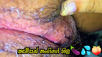 Big Clit And Hairy Pussy On Sri Lankan Beach