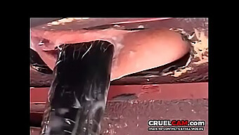 Seks Sadel Ekstrem: Pengalaman Mainan Seks Yang Harus Dilihat - Www.Cruelcam.Com