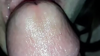 Pov Ehefrau Gibt Blowjob In Hd-Video