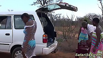 Wild African Safari Threesome With Facials And Outdoor Action