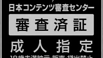 偷偷摸摸的介绍,享受这个女佣的感性表演